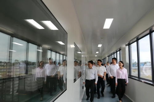 省市場監管局局長萬鵬龍調研我市食品安全工作要求 壓實主體責任加強監管力度