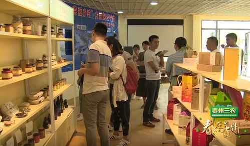 數(shù)說貴州 數(shù)字鄉(xiāng)村的貴州實踐，智慧生活織就智富夢